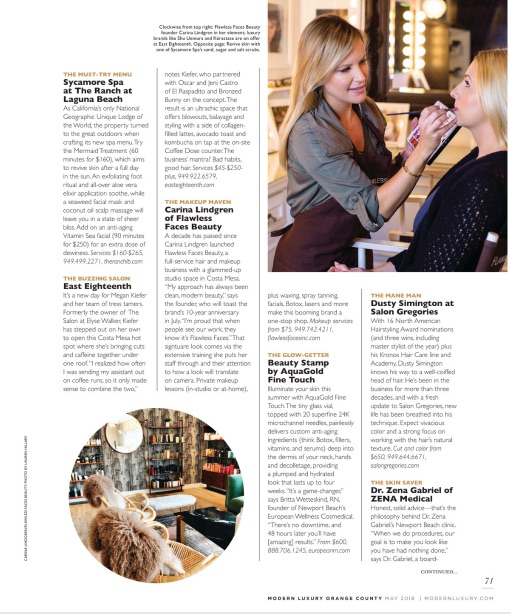 ModernLuxuryMagarticle